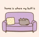 "Home is where my butt is" Pusheen