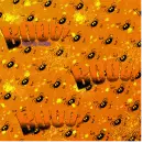 Halloween background 1