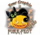 Purr-fect-linda