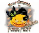 Purr-fect-Shakela
