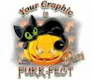 Purr-fect-Pami