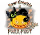 Purr-fect-Marie