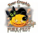 Purr-fect-Tyla