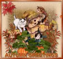 Autumn Greetings
