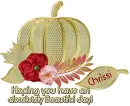 Gold Pumpkin- Chrissi