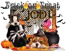 jodi