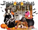julie
