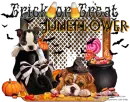 juneflower