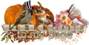 welcome to my page