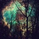stars