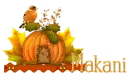 Makani