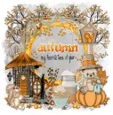 Autumn My Favorite Time Of year