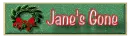 Offline icon - Jane