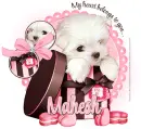 Mahesh