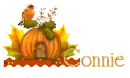 Autumn Pumpkin_Connie