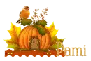 Autumn Pumpkin_Pami