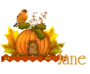 Autumn Pumpkin_Jane