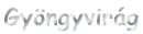 GyÃ¶ngyvirÃ¡g
