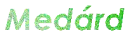 MedÃ¡rd