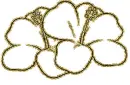 2 hibiscus