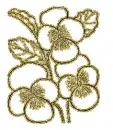 3 pansy