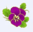 purple pansy