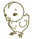 chick