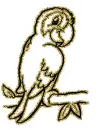 parrot