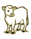 cow