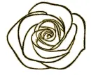 rosa