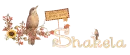 Autumn_Shakela