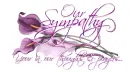 Our Sympathy.. Cala-lilys