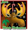 MERRY CHRISMOOSE - JANE