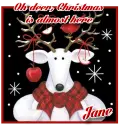 Oh Deer - Jane