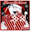 Polar Bear with presents - Jane