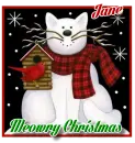 Christmas kitty - Jane