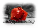 Red Rose  HAPPY BIRTHDAY 