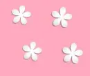 white stars in pink