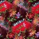 Christmas ~ background