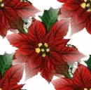 Christmas ~ background