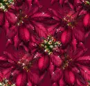 Christmas ~ background