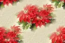 Christmas ~ background