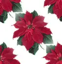 Christmas ~ background