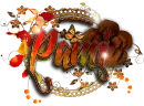 Fall-Pami