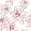 lilies