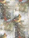 Winter ~ background