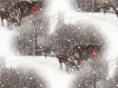 Winter ~ background
