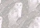 Winter ~ background