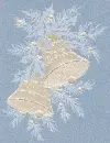 Christmas ~ background