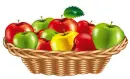 fruits